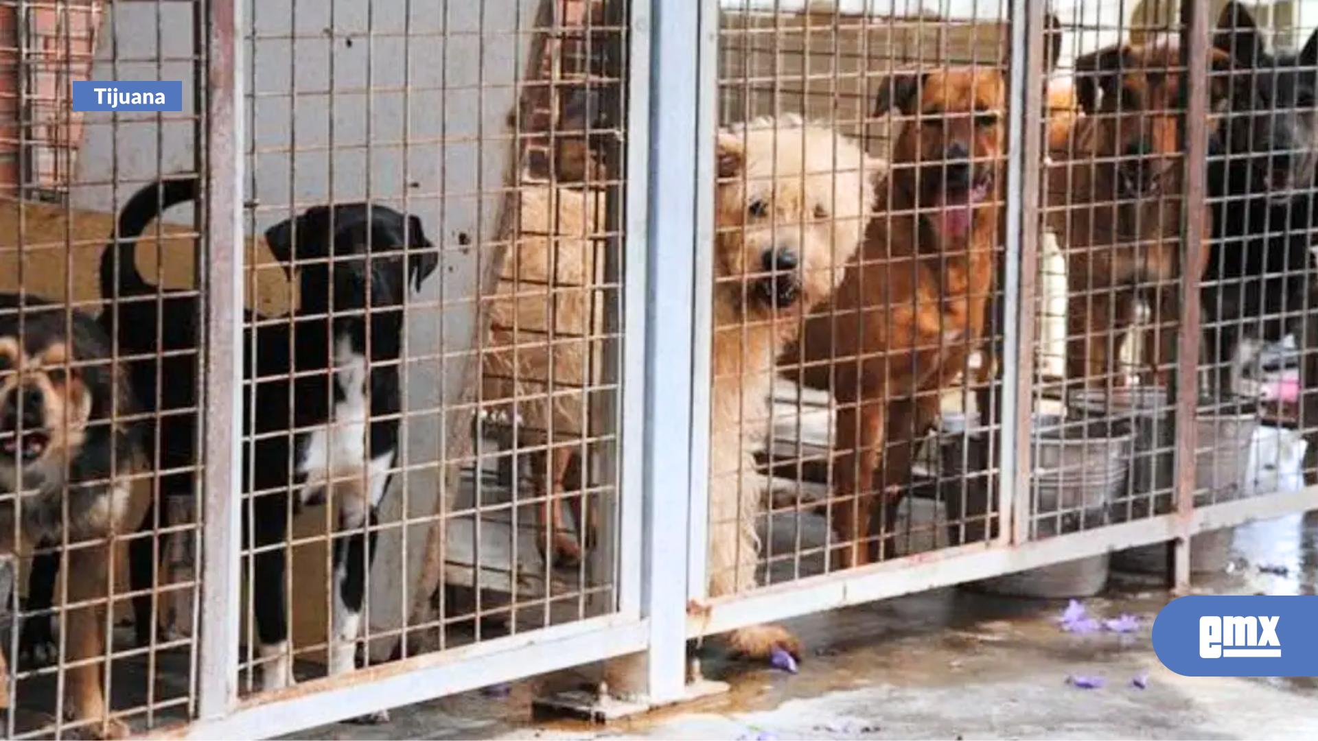 EMX-Piden-cambios-a-los-Centros-de-Control-Animal-municipales