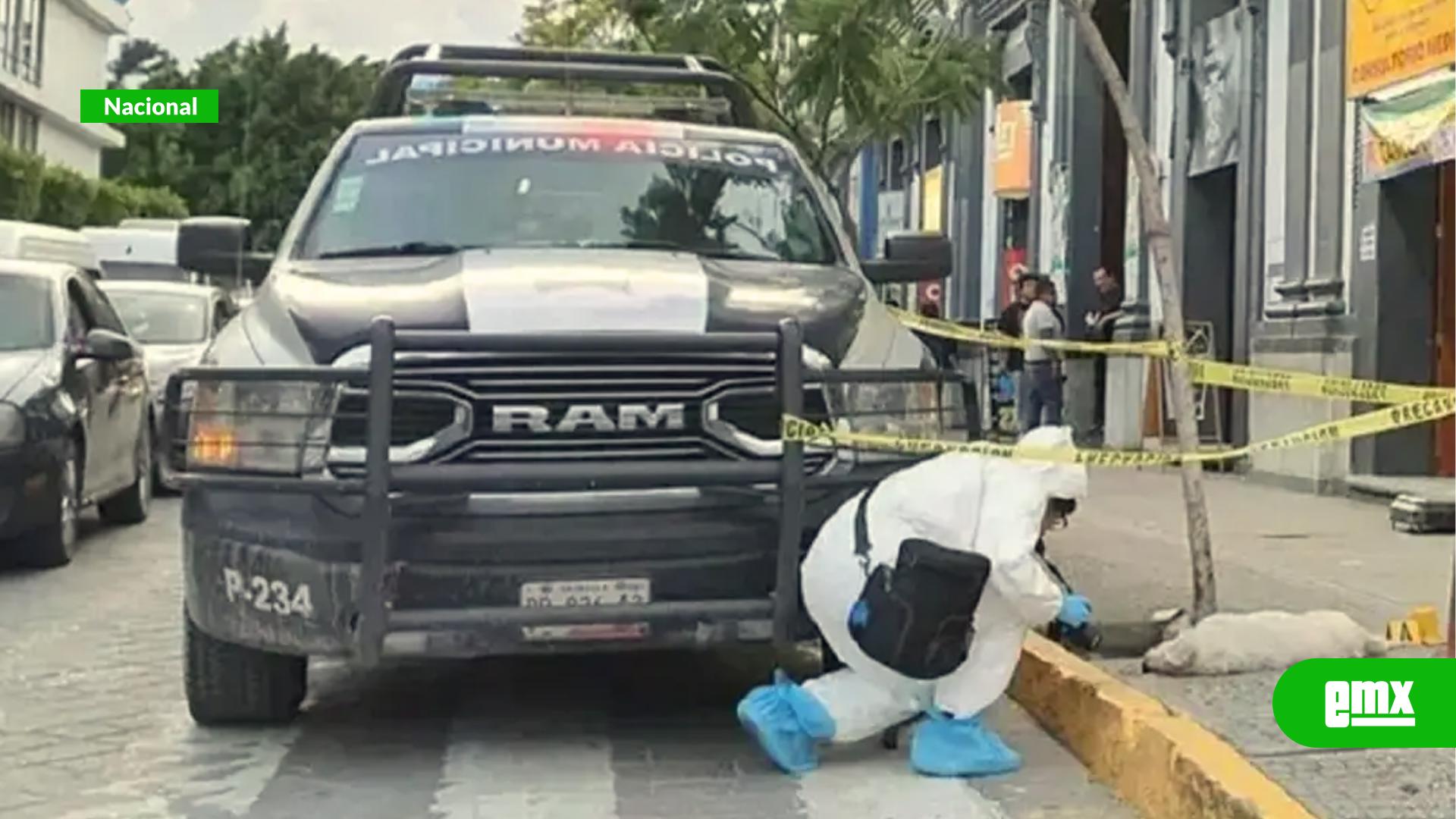 EMX-Histórico-en-Puebla:-levantan-cuerpo-de-perrito-atropellado-con-protocolo-forense