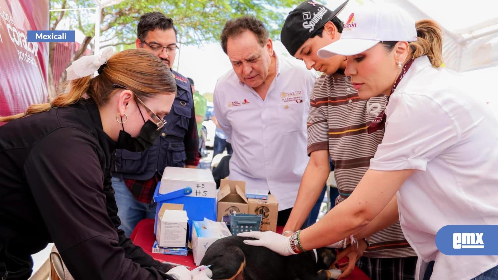 EMX-MÁS-DE-170-MIL-ACCIONES-DE-ZOONOSIS-SE-HAN-REALIZADO-A-BENEFICIO-DE-LA-SALUD-EN-BAJA-CALIFORNIA