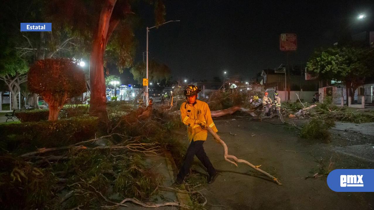 EMX-Colapsó-árbol-en-el-parque-Teniente-Guerrero-y-bloqueo-vialidad-en-Zona-Centro