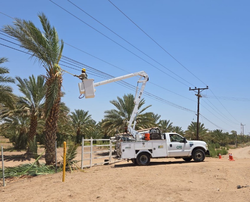 EMX-EALIZA CFE MEGAOPERATIVO DE REVISIÓN DE LÍNEAS DE SERVICIO EN MEXICALI