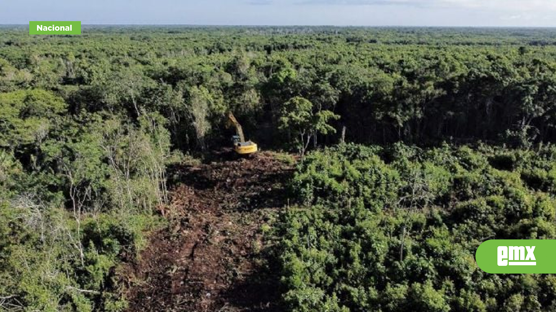 EMX-La-Sedena-busca-tirar-259-hectáreas-más-de-selva-para-hacer-rentable-el-Tren-Maya