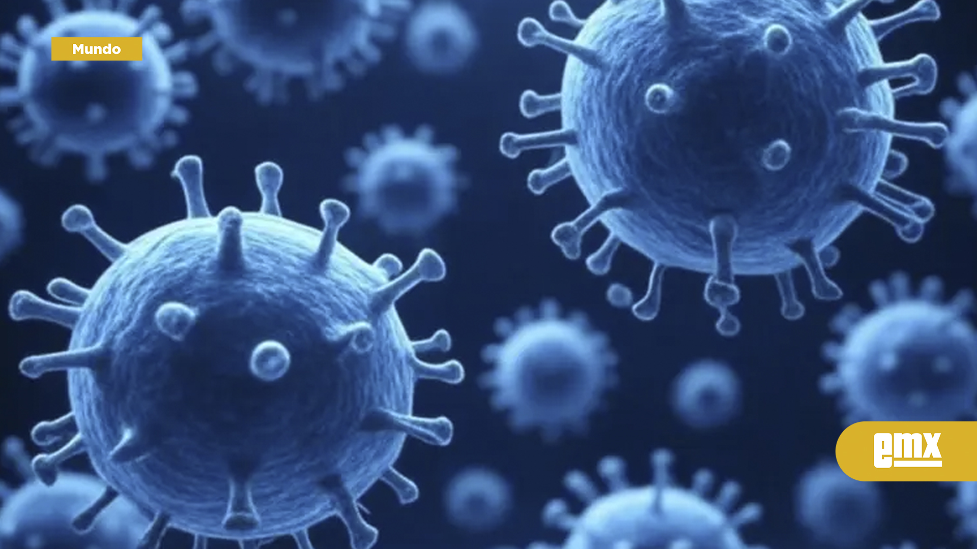 EMX-Brote-de-chikungunya-pone-en-riesgo-a-millones:-OMS