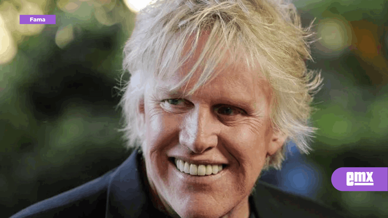 EMX-El-actor-Gary-Busey-se-declara-culpable-de-un-delito-sexual