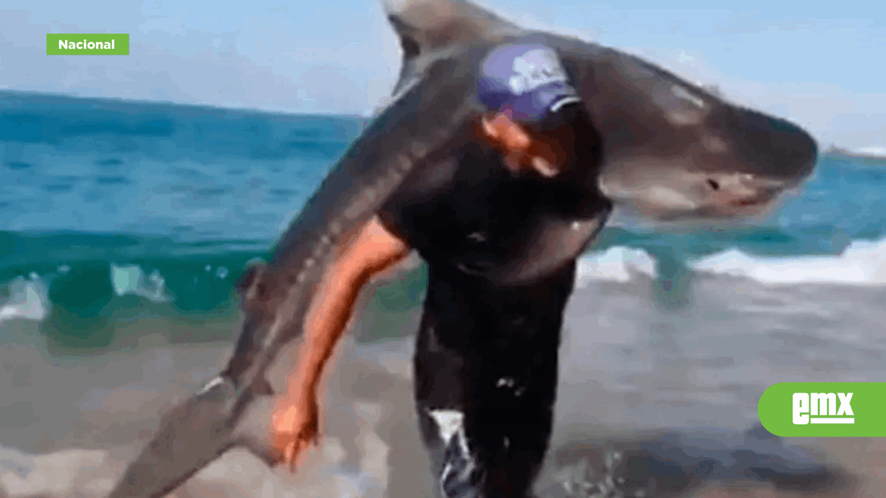 EMX-VIDEO:-A-lo-'Chanoc',-hombre-captura-tiburón-tigre-con-las-manos