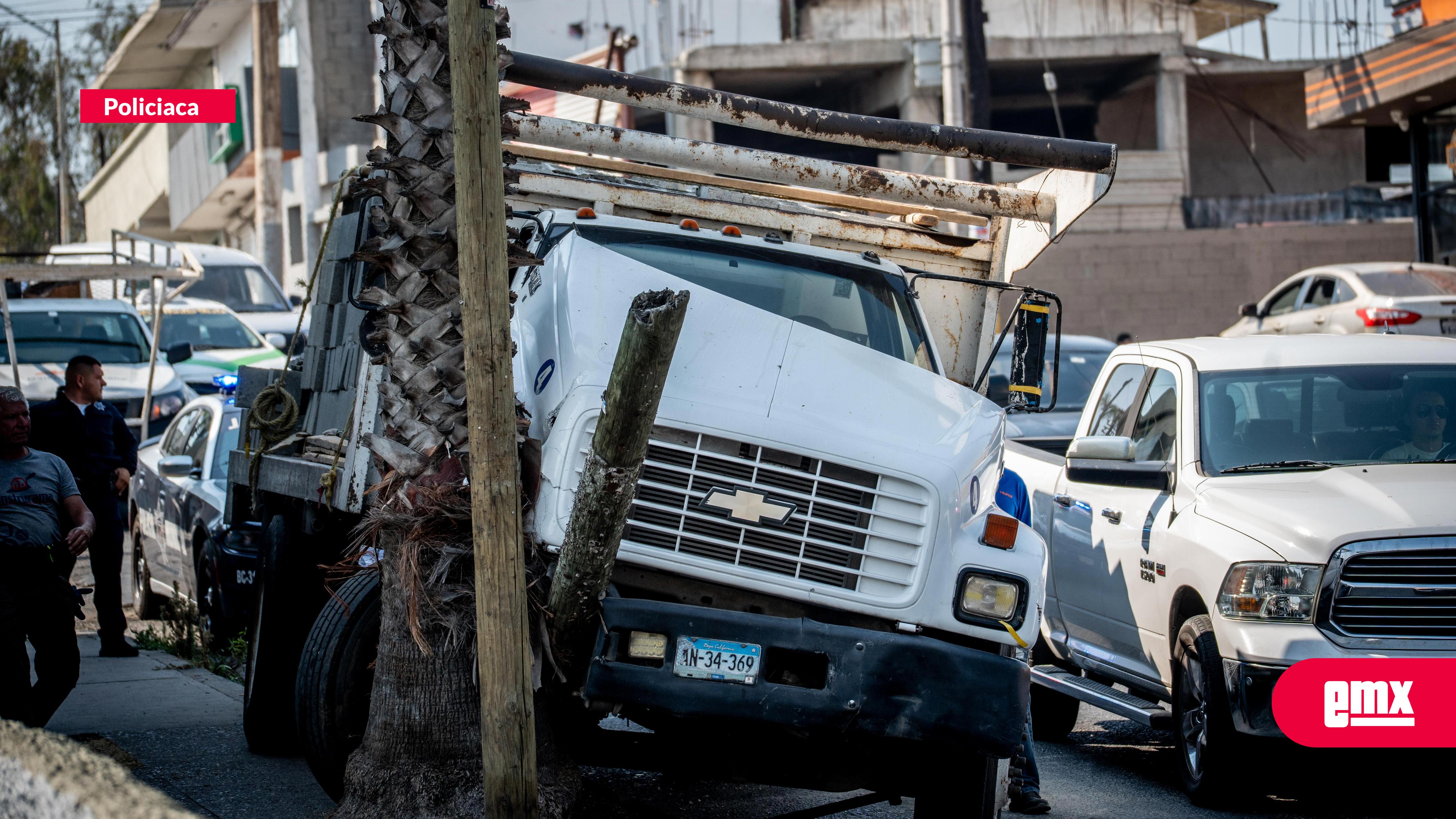 EMX-Camión-de-carga-se-queda-sin-frenos-e-impacta-palmera-para-evitar-tragedia