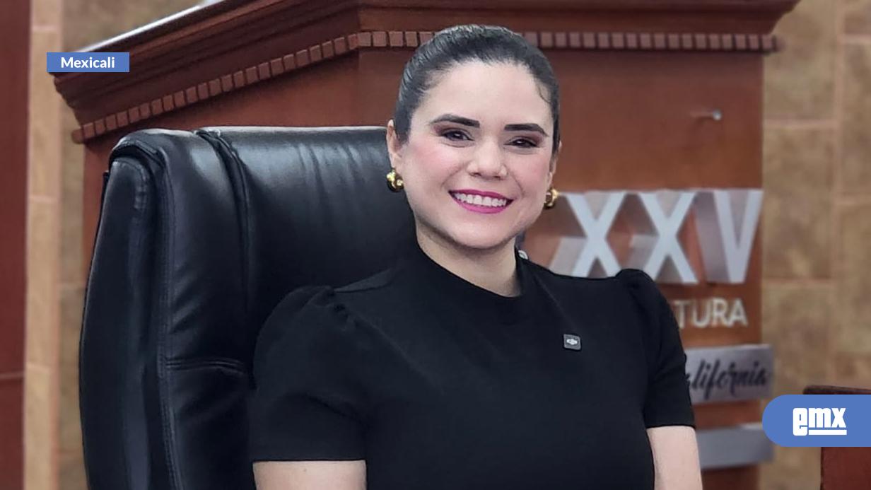 EMX-DAYLÍN-GARCÍA-PROPONE-LEY-DE-VIDEOVIGILANCIA