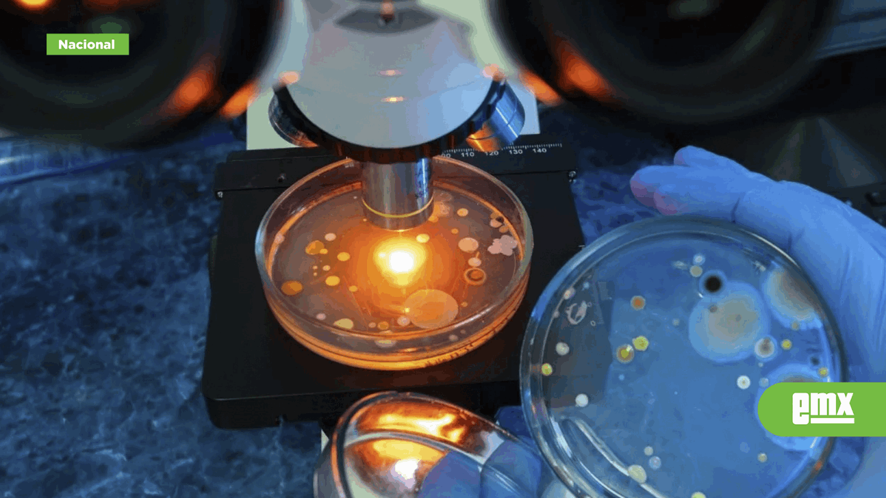 EMX-La-bacteria-"come-carne"-se-encuentra-en-estos-lugares:-lo-que-debes-saber-para-protegerte