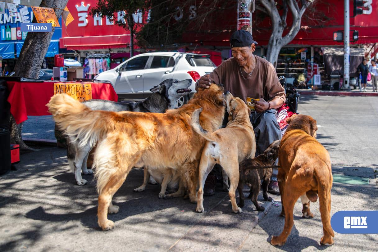 EMX-A-pesar-de-no-tener-un-hogar,-el-señor-Flores-rescata-y-cuida-a-perritos-de-la-calle