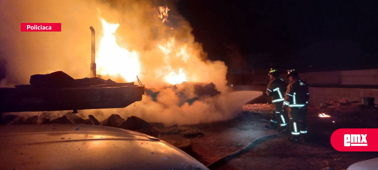EMX-Detiene-Policía-Municipal-a-sujeto-por-incendiar-pacas-de-alfalfa-en-La-Gloria
