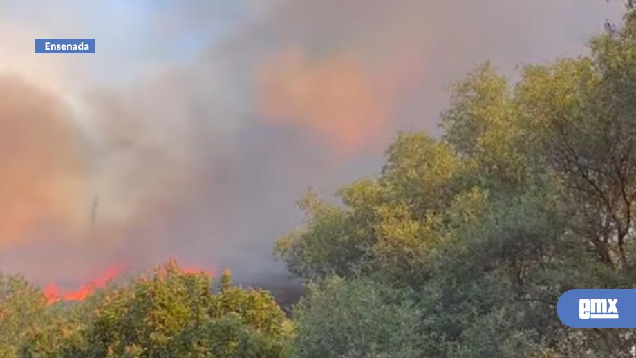 EMX-Incendio-forestal-hacia-Ojos-Negros-impide-paso