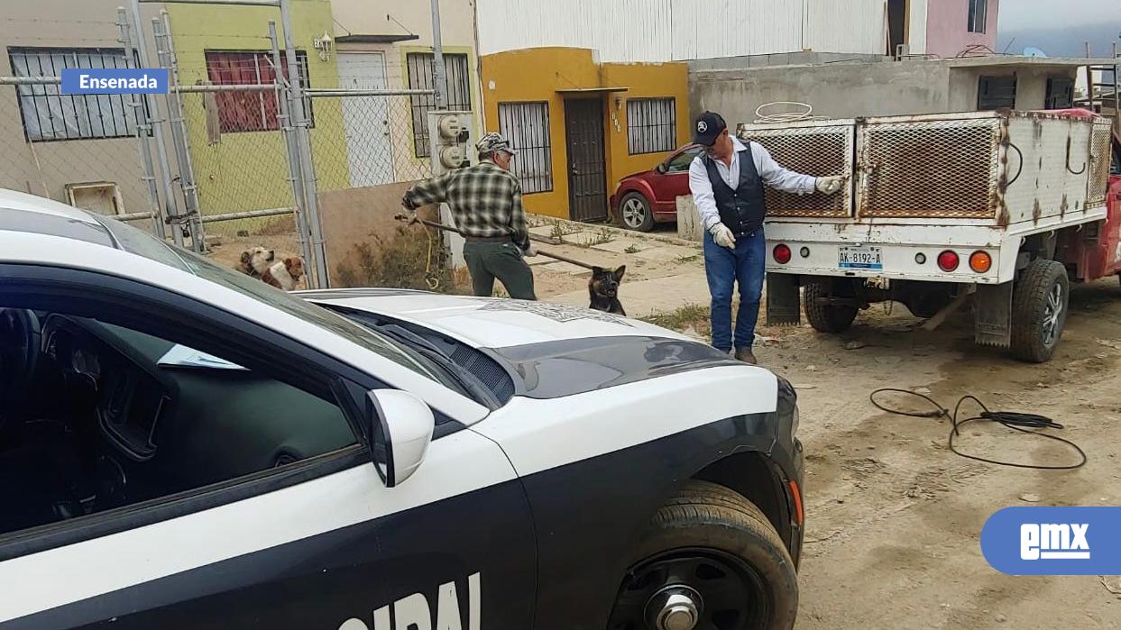 EMX-Cero-tolerancia-para-quienes-afecten-entorno-social-y-ambiental