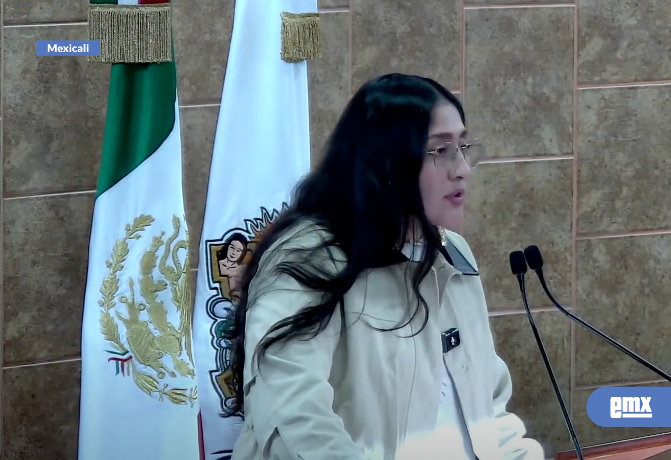 EMX-Diputada-Liliana-Michel-Sánchez-alza-la-voz-en-el-Congreso-por-el-feminicidio-de-Marbella-Bañuelos
