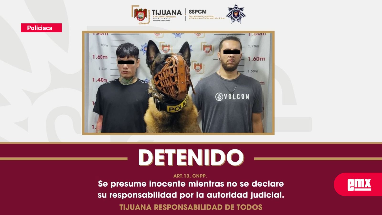 EMX-“Willie”-olfatea-marihuana-en-vehículo;-dos-detenidos-en-la-colonia-Lázaro-Cárdenas