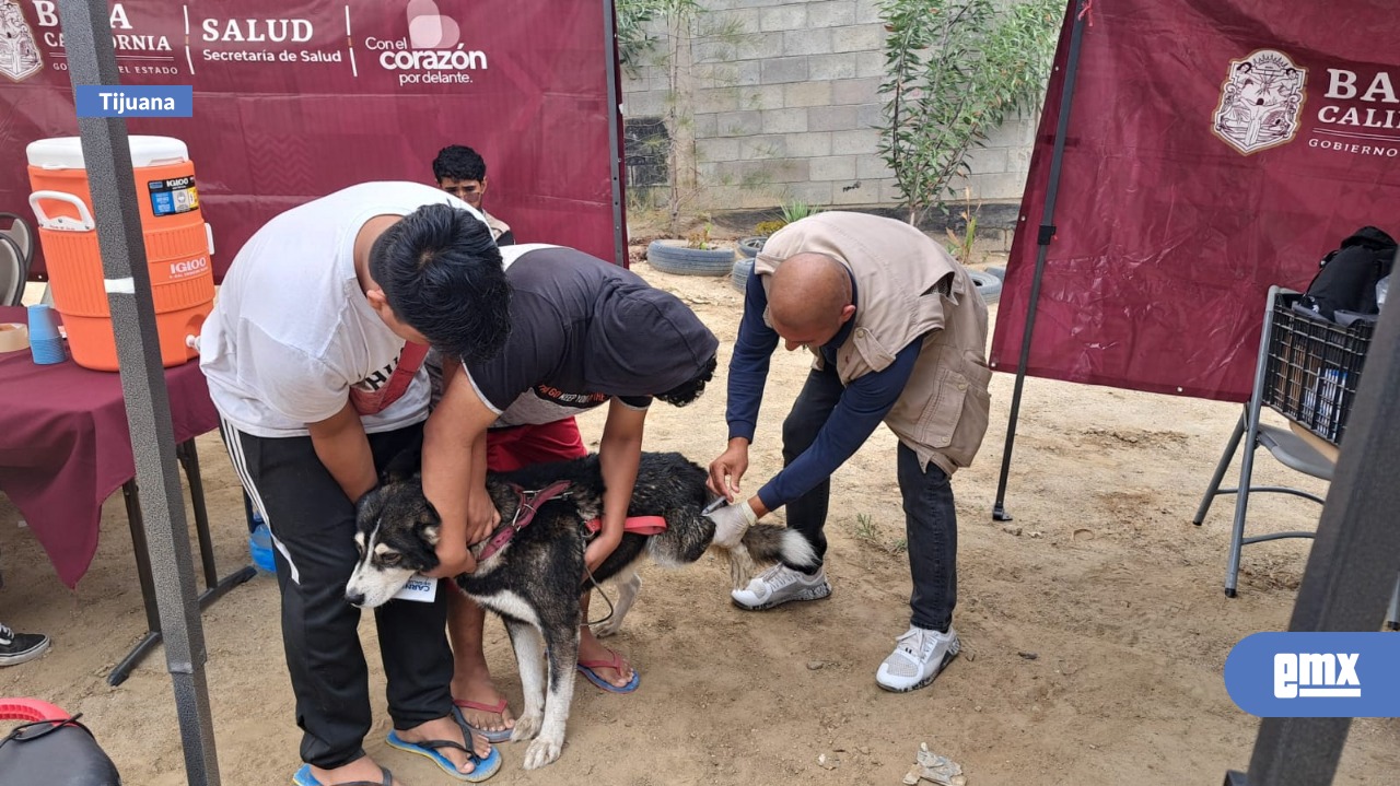 EMX-Vacunan-y-desparasitan-a-más-de-140-mascotas-en-Villa-del-Álamo;-fumigan-50-manzanas