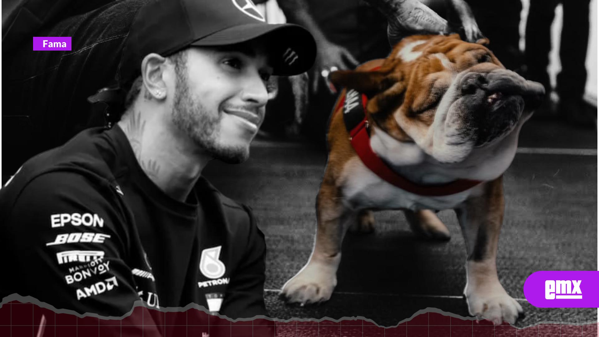 EMX-Lewis-Hamilton-despide-a-Roscoe,-su-inseparable-compañero-de-vida