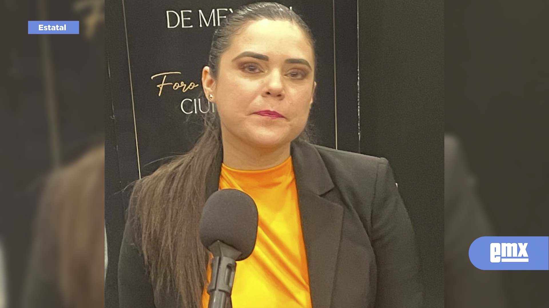 EMX-Busca-diputada-modificar-formato-de-glosas