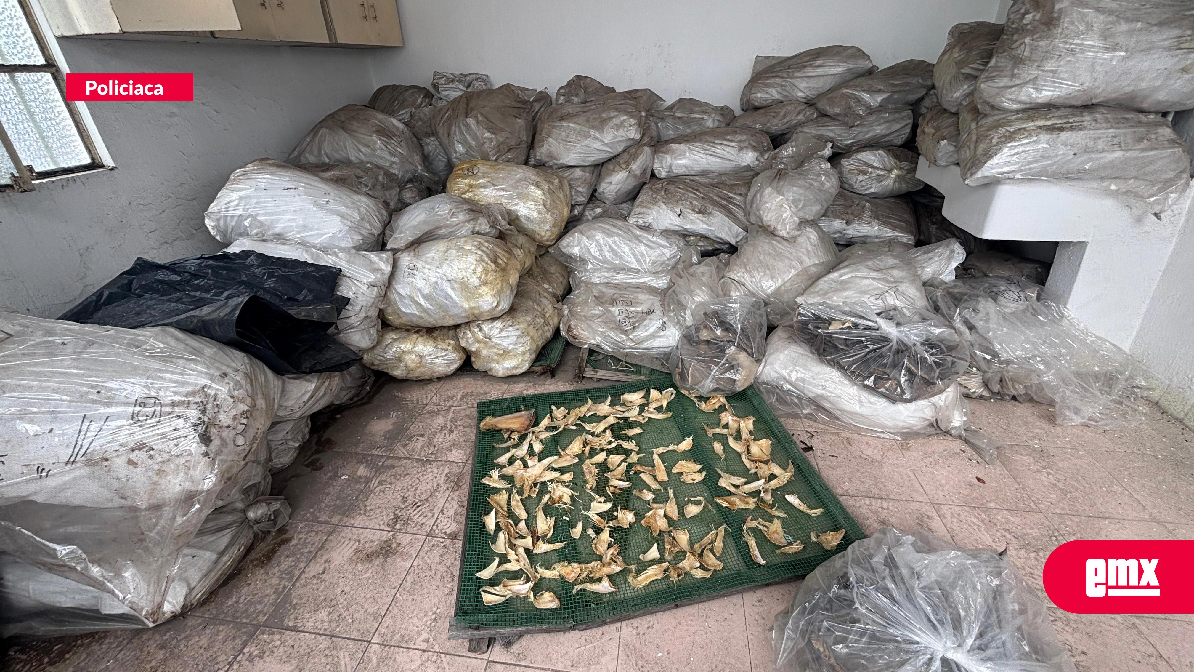EMX-Detecta-Policía-mixta-tráfico-ilegal-de-especies-marinas-en-Tijuana