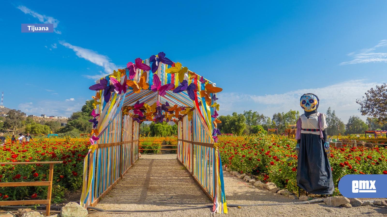 EMX-Mictlán:-un-viaje-entre-flores,-mitología-y-tradición-en-Tijuana