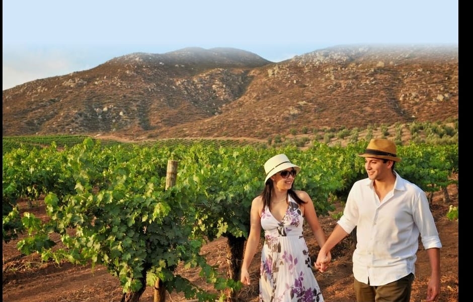 EMX- Ecoturismo sustentable, clave para reactivación económica 