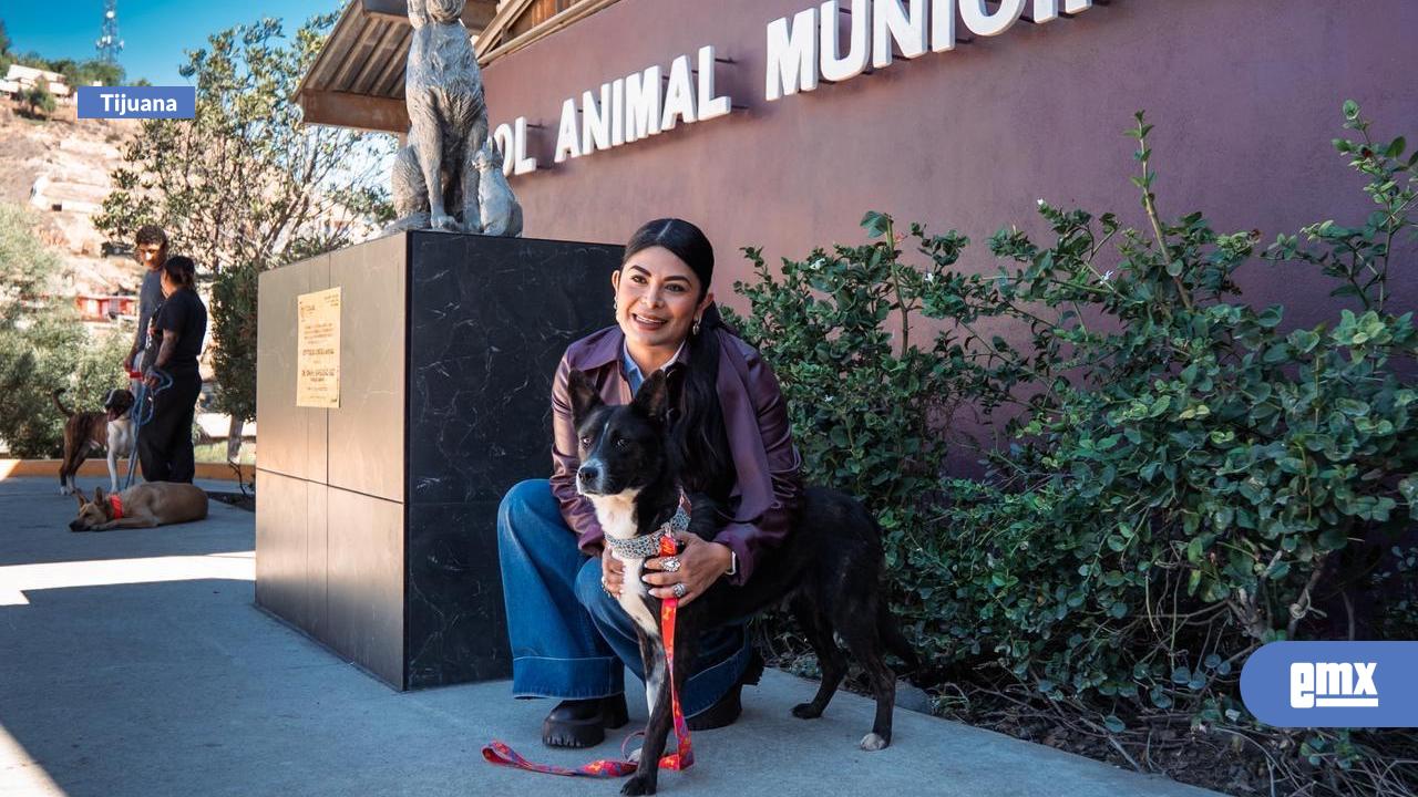 EMX-Promueve-Gobierno-Municipal-de-Tijuana-el-rescate-y-la-adopción-de-mascotas