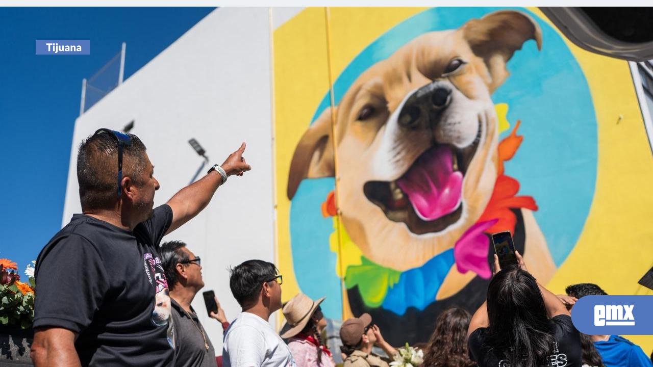 EMX-Le-dan-el-último-adiós-al-“Chicles”-el-lomito-que-dejó-huella-en-las-carreras-de-Tijuana