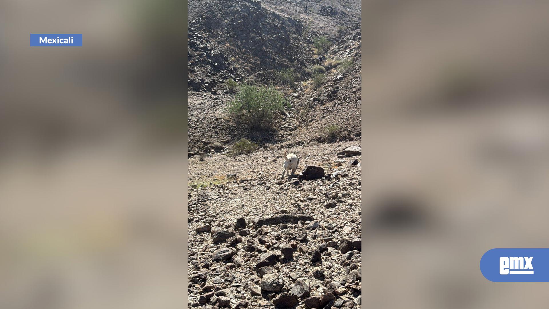 EMX-Localizan-restos-óseos-en-la-sierra-Cucapáh
