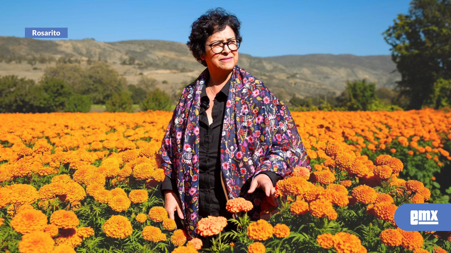 EMX-Rocío-Adame-impulsa-las-tradiciones-de-Rosarito-con-la-visita-a-los-campos-de-cempasúchil-del-Rancho-Macías