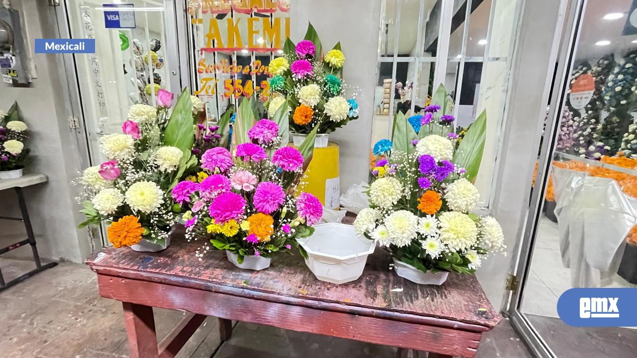 EMX-Enfrentan-florerías-alto-costo-de-proveedores