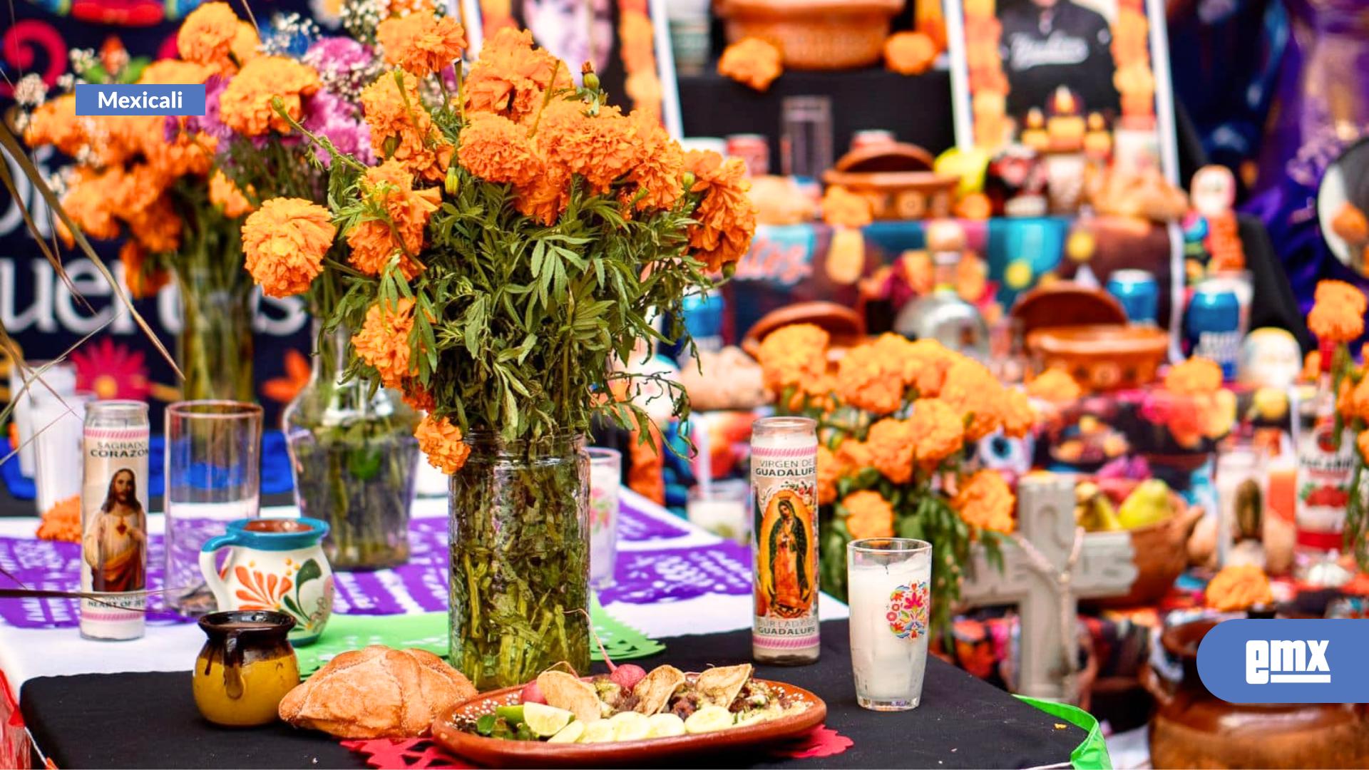 EMX-Secretaría-de-Salud-llama-a-evitar-agua-estancada-en-floreros-de-altares-y-panteones-para-prevenir-criaderos-de-mosquitos