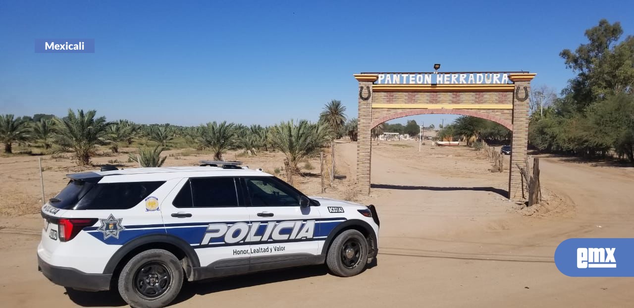 EMX-Saldo-blanco-en-Día-de-Muertos:-DSPM