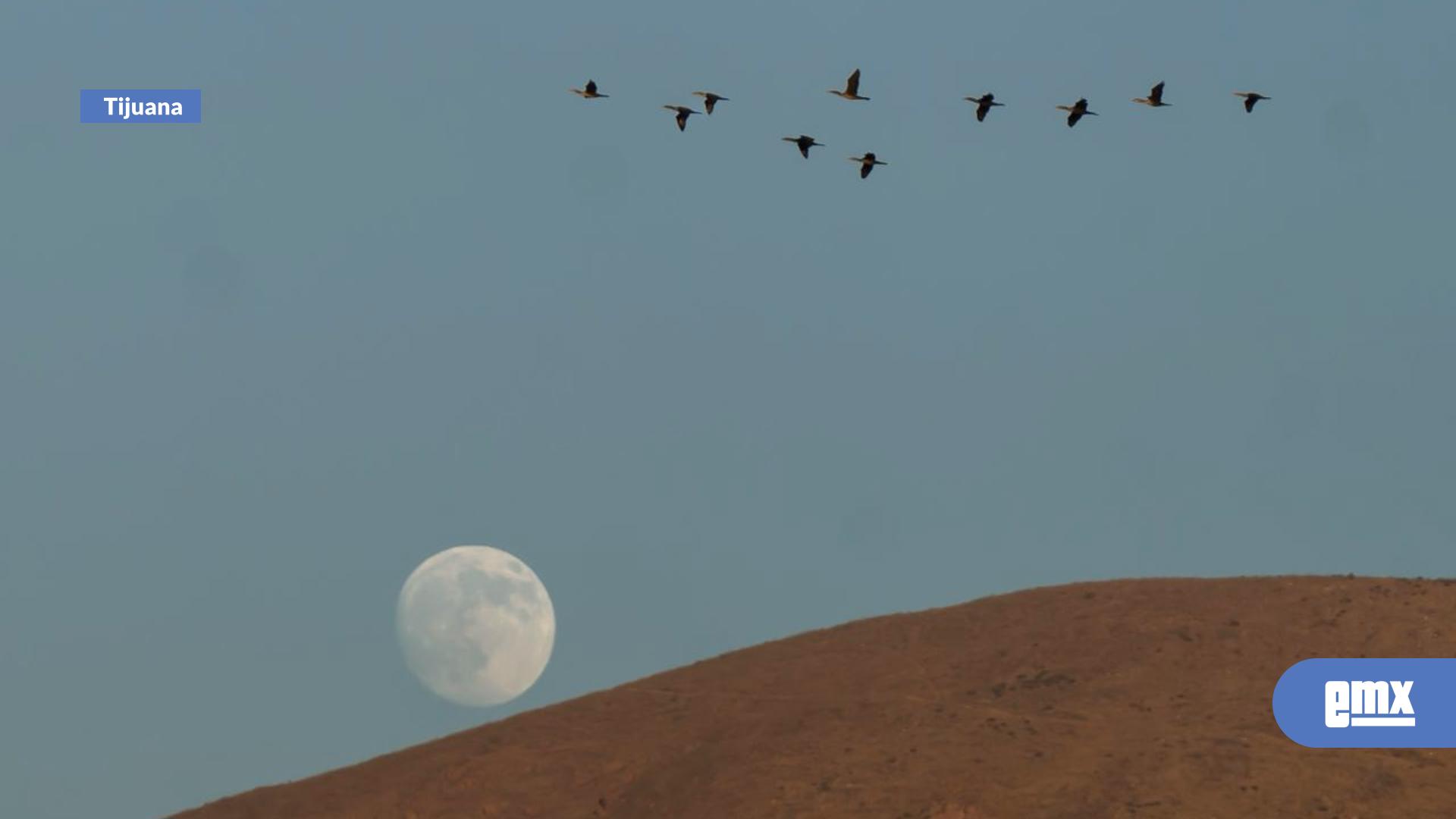 EMX-Tijuana-se-ilumina-con-un-atardecer-multicolor-y-la-Luna-creciente-sobre-el-Cerro-Colorado