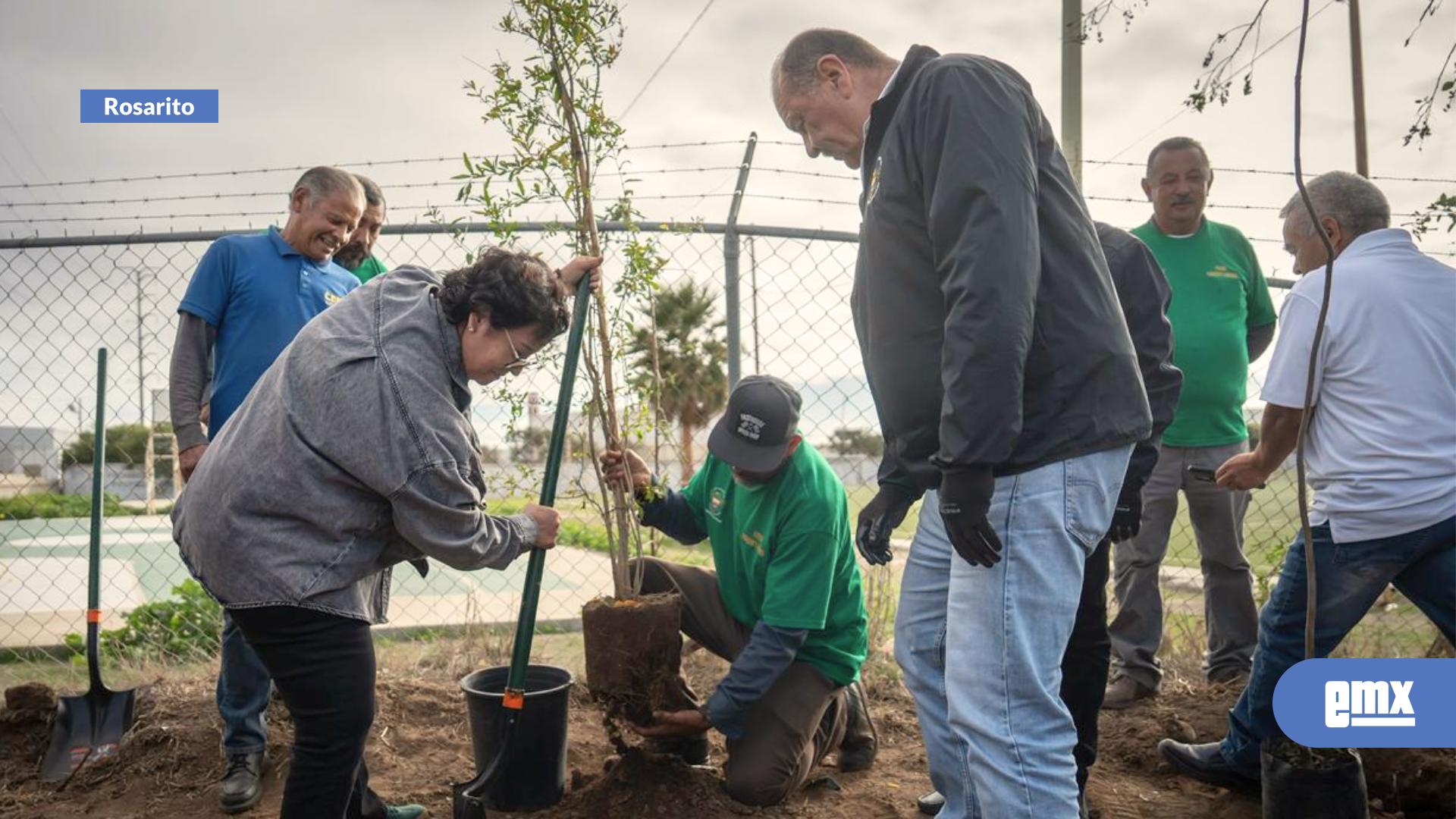 EMX-Vivero-Municipal-producirá-árboles-para-reforestar-otras-áreas-de-la-ciudad