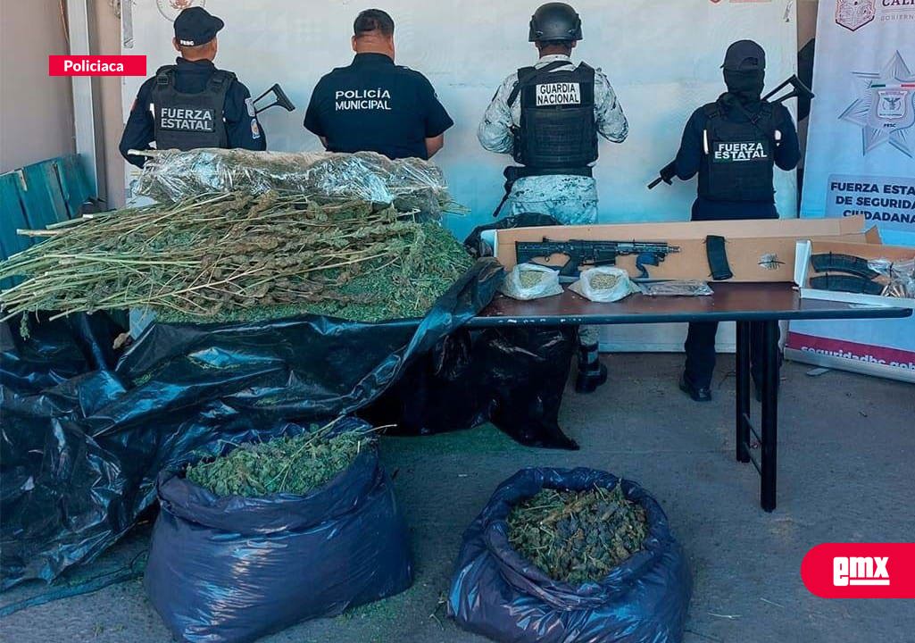 EMX-Localizan-armamento-y-más-de-35-kilos-de-"mota"-en-zona-rural-de-Tecate