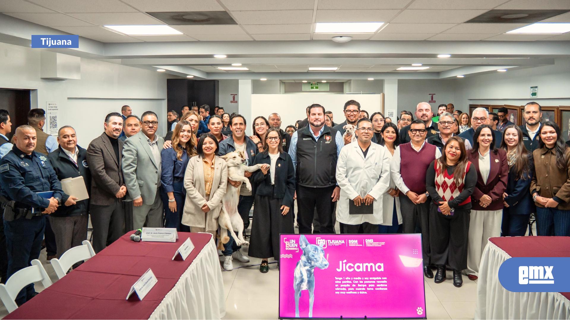 EMX-Instala-Ismael-Burgueño-el-Consejo-Consultivo-Municipal-para-la-Protección-y-Bienestar-de-los-Animales-Domésticos