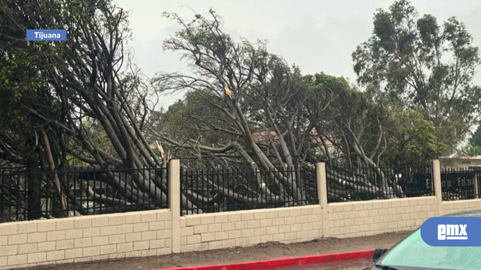 EMX-Bomberos-atienden-más-de-150-reportes-durante-la-primera-jornada-de-precipitaciones