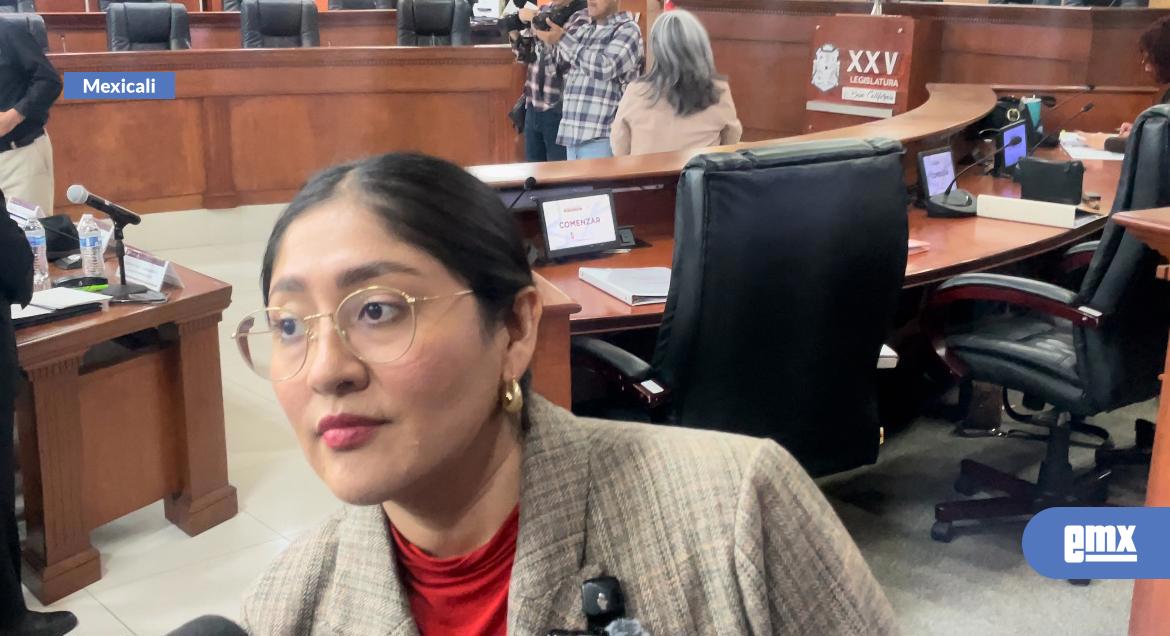 EMX-Plantea-diputada-presencia-de-Brigadas-Violeta