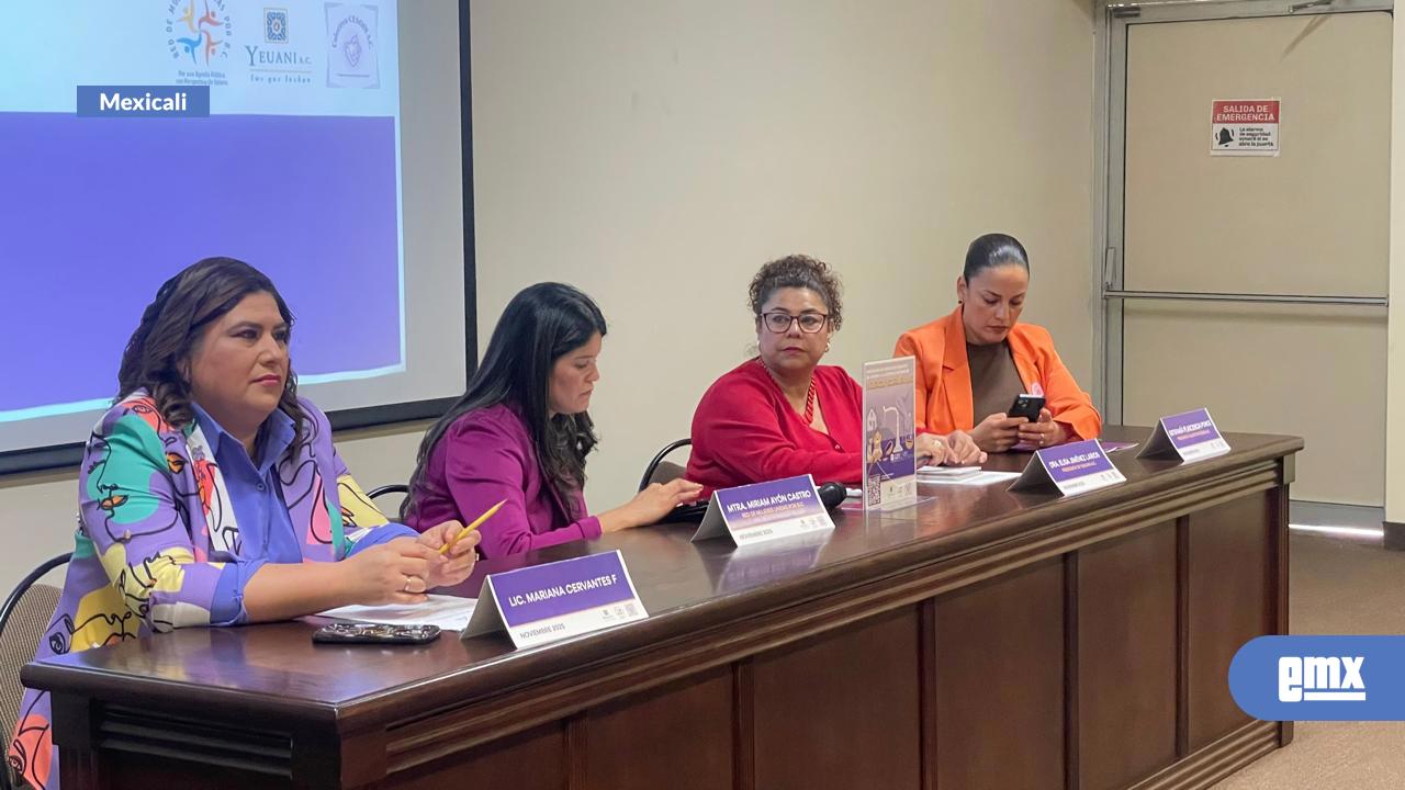 EMX-Violencia-Vicaria-crece-sin-sentencias:-Desetik's