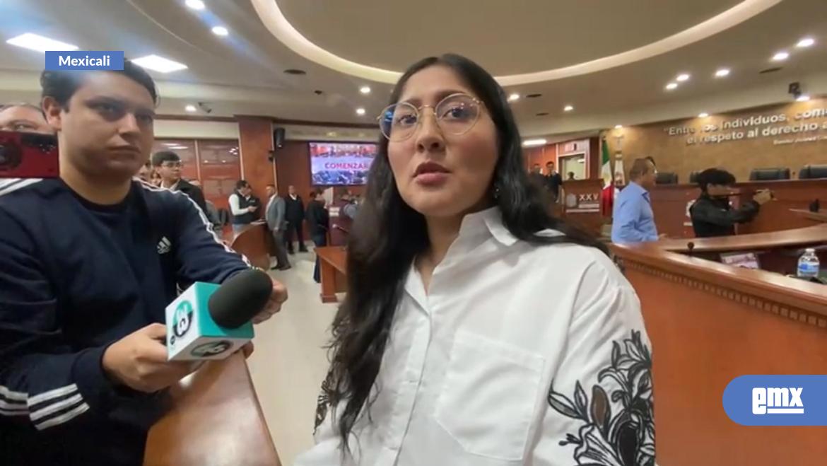 EMX-Diputada busca tipificar la violencia institucional como delito en Baja California