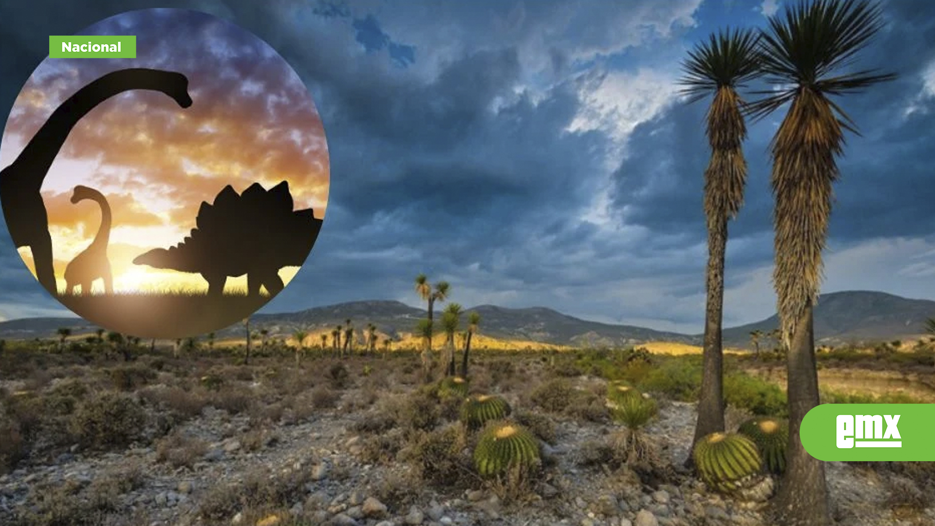 EMX-Descubren-huellas-de-dinosaurios-en-Tehuacán,-Puebla