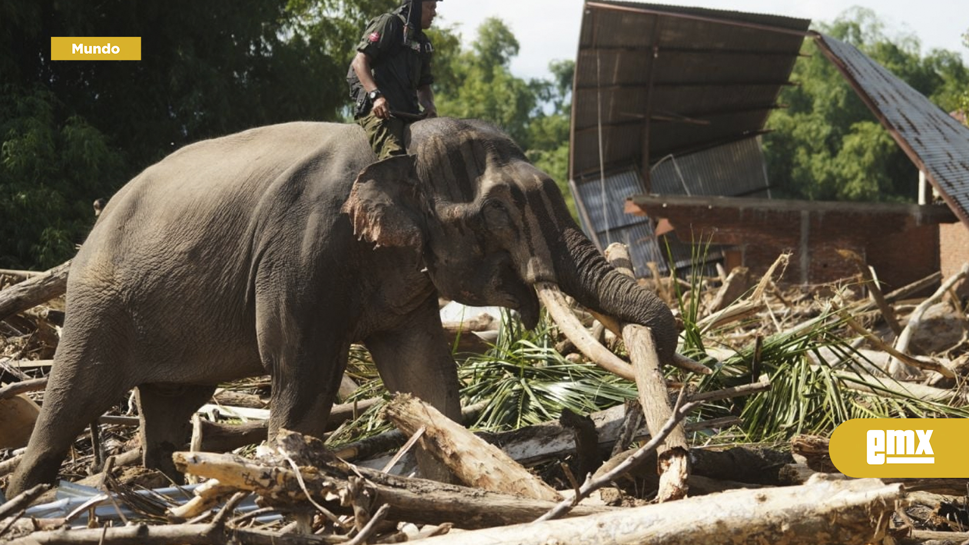 EMX-Suman-961-los-muertos-por-las-inundaciones-en-el-oeste-de-Indonesia