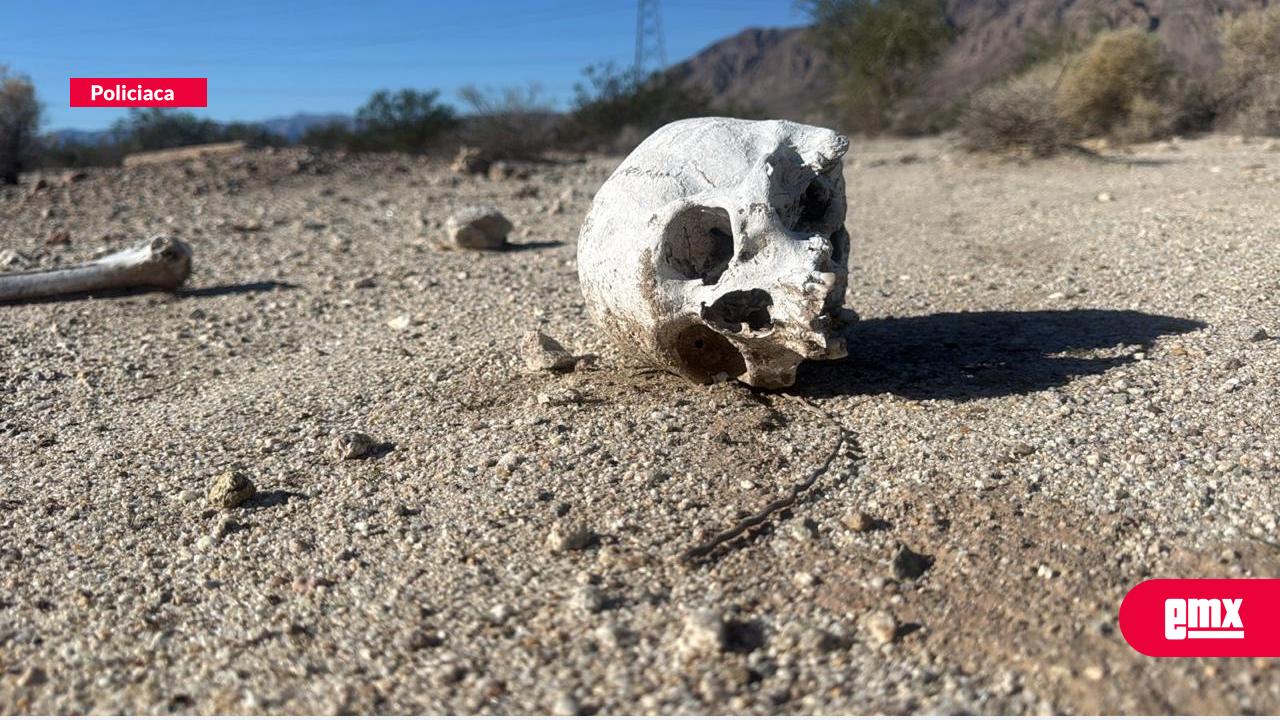EMX-Localizan-restos-humanos-en-el-Centinela