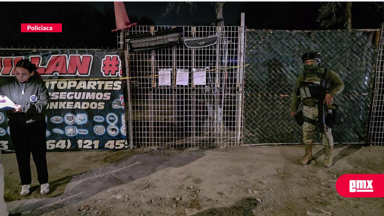 EMX-Aseguran-27-vehículos-durante-cateo-en-yonke-de-Ejido-Matamoros