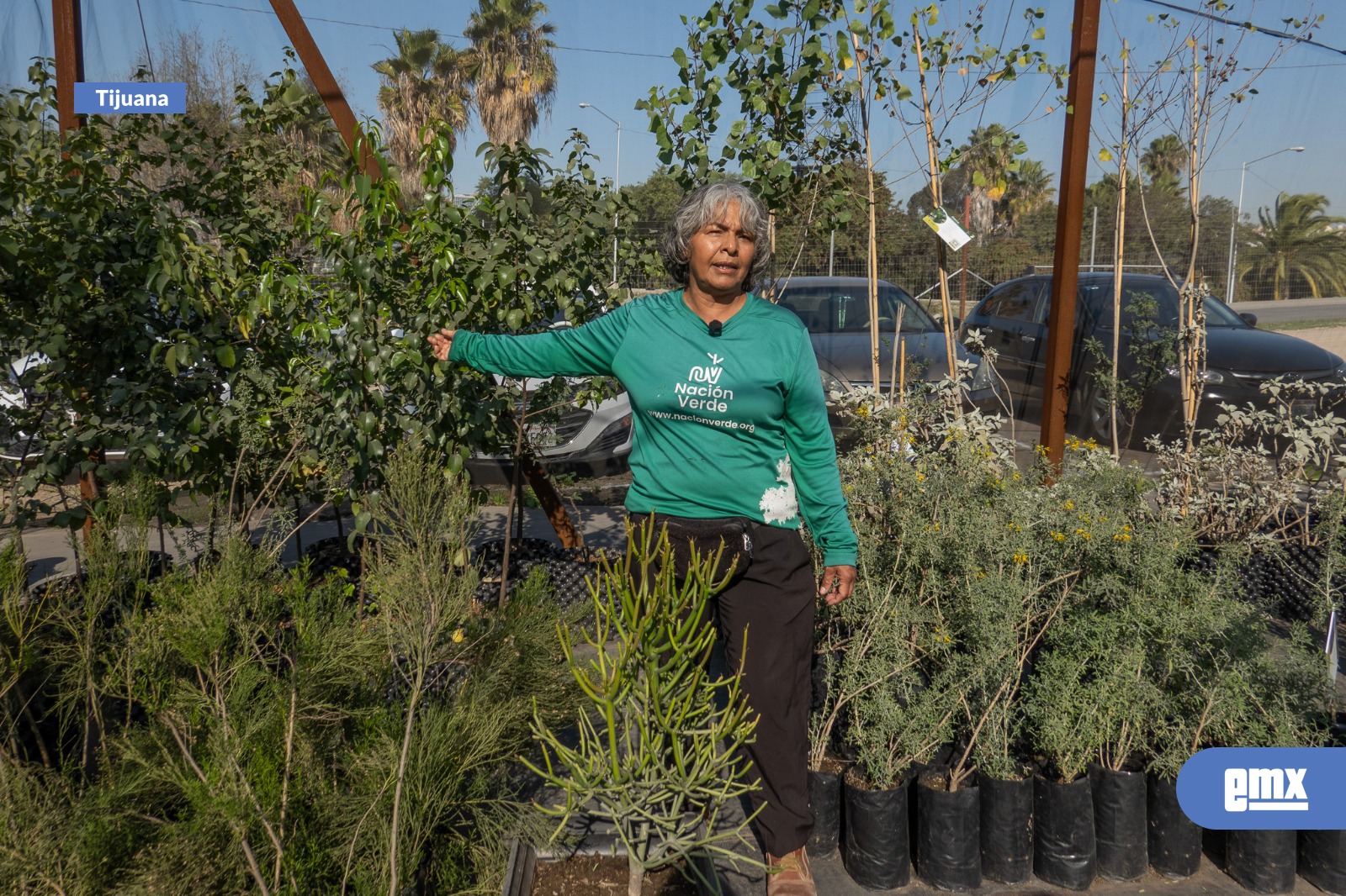 EMX-Nación-Verde-alerta-por-podas-ilegales-y-propone-soluciones-basadas-en-la-naturaleza