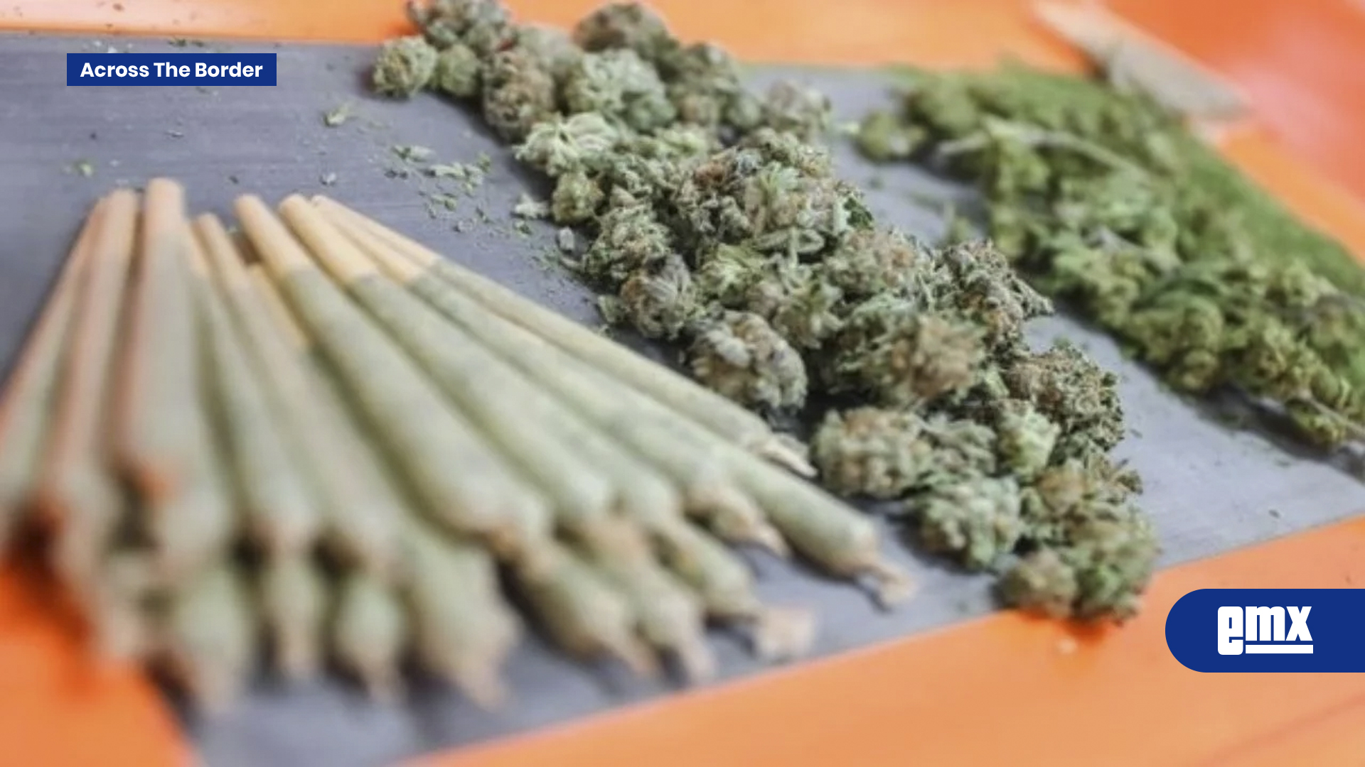 EMX-¿Qué-implica-la-orden-ejecutiva-de-Trump-de-reclasificar-la-marihuana-como-droga-menos-peligrosa?