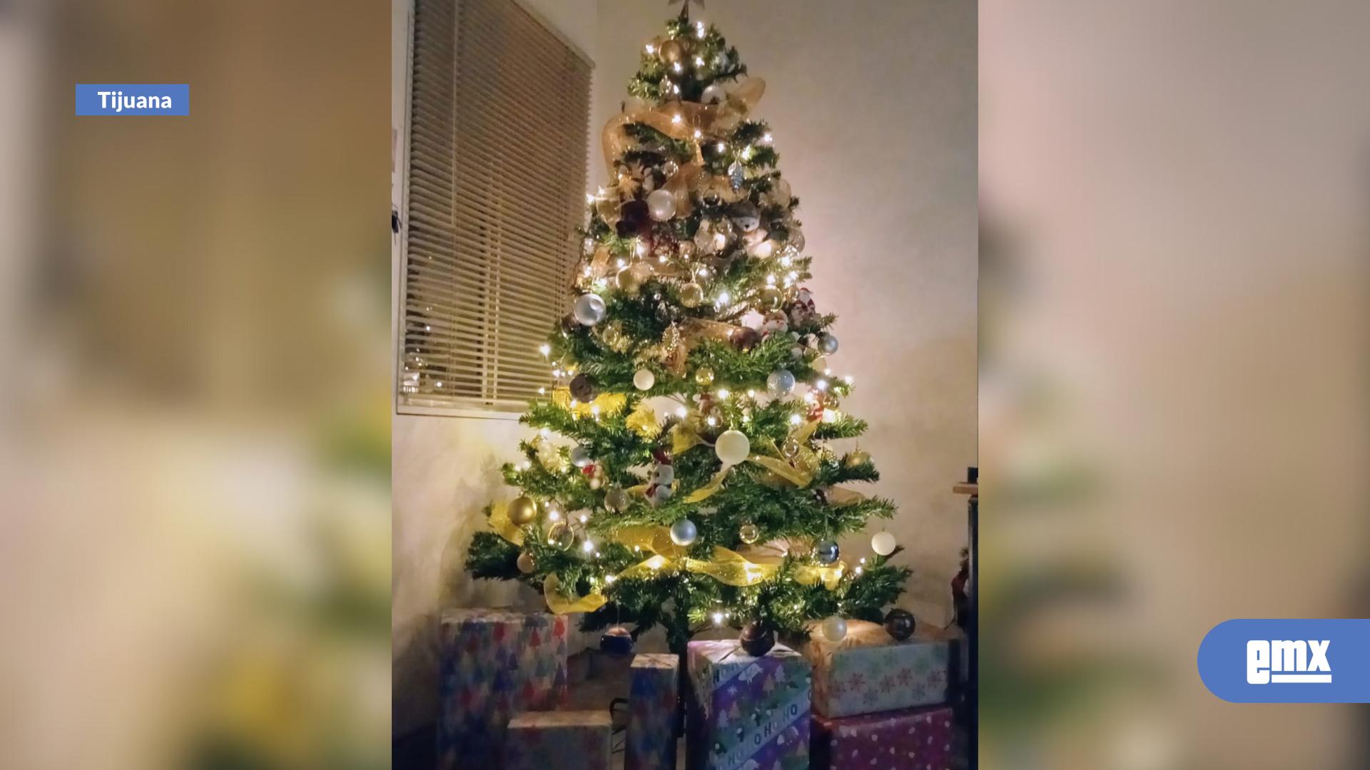 EMX-La-CFE-hace-recomendaciones-para-iluminar-tus-fiestas-decembrinas-de-forma-segura