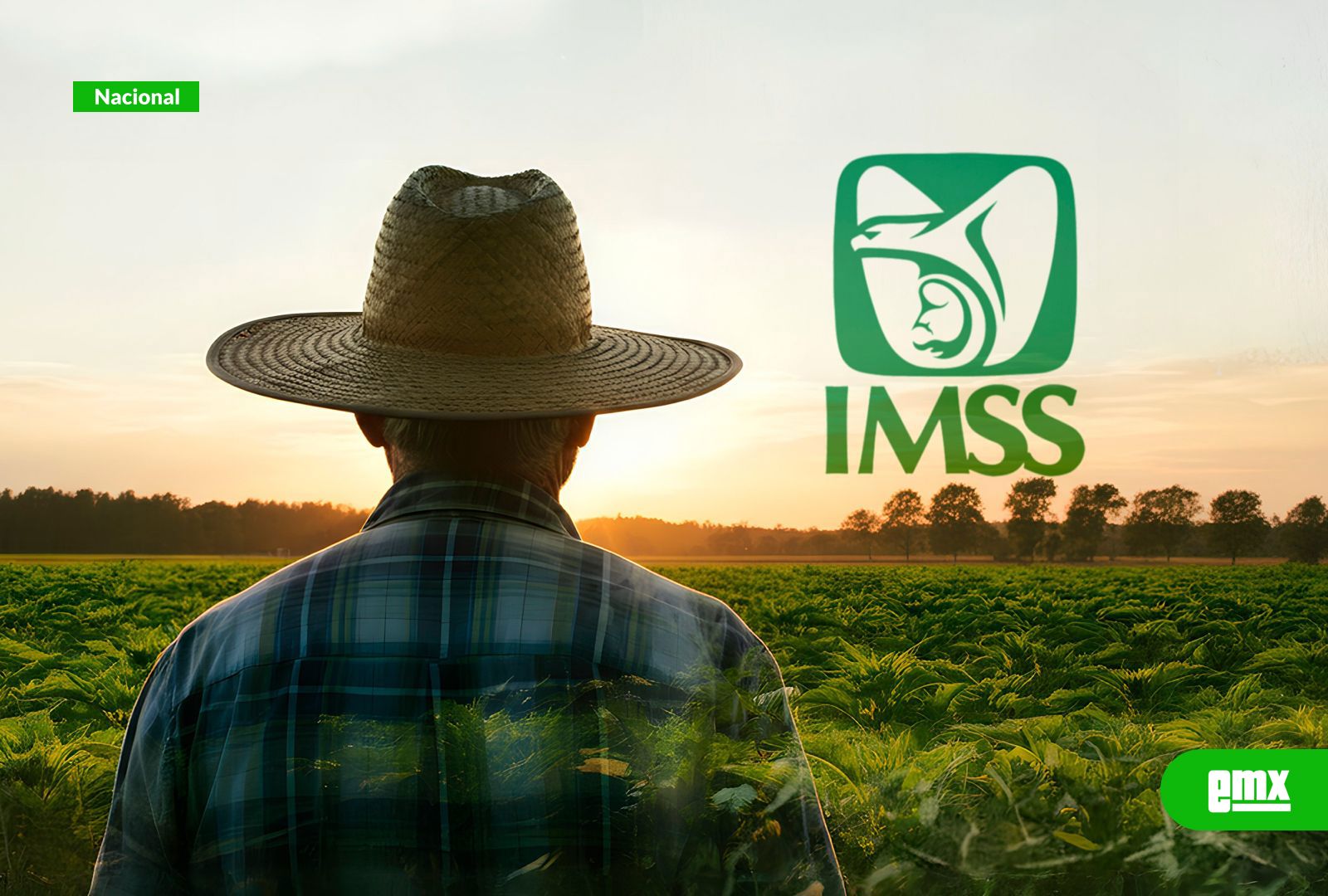 EMX-Connacionales-en-Estados-Unidos-podrán-acceder-a-seguridad-social-en-México