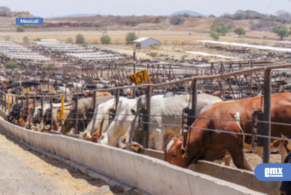 EMX-Participan-productores-de-BC-en-programa-Proveedor-Confiable