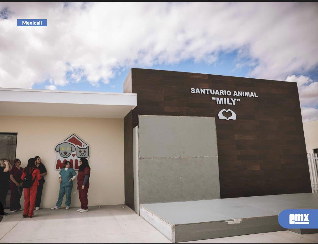 EMX-Registran-un-caso-de-rickettsia-en-albergue-Mily