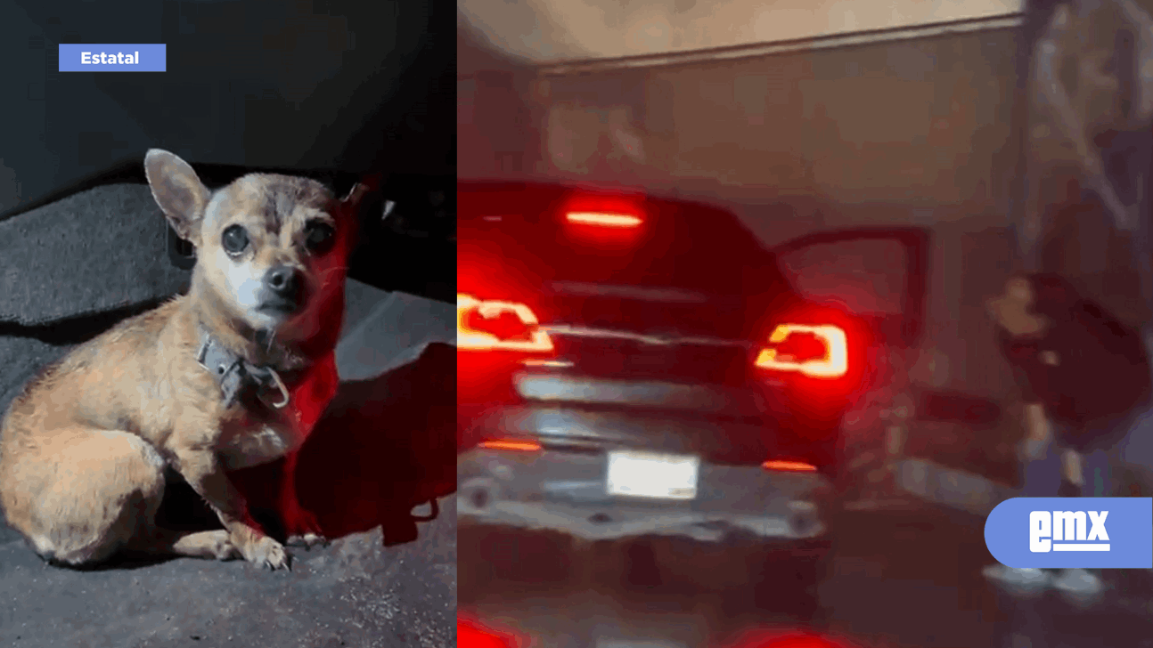 EMX-Pirotecnia-provoca-desorientación-de-perros-en-la-Zona-Este-de-Tijuana